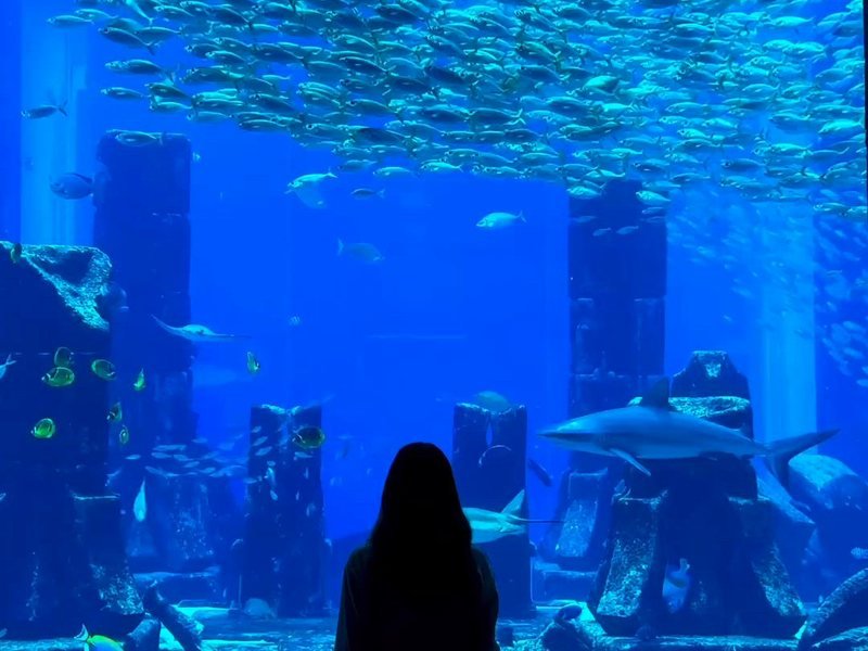 Lost Chambers Aquarium — book with Our Holiday