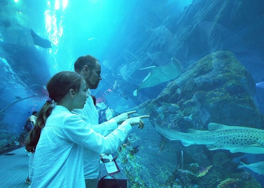 Family Fun Dubai – Theme Parks Special (5N/6D)